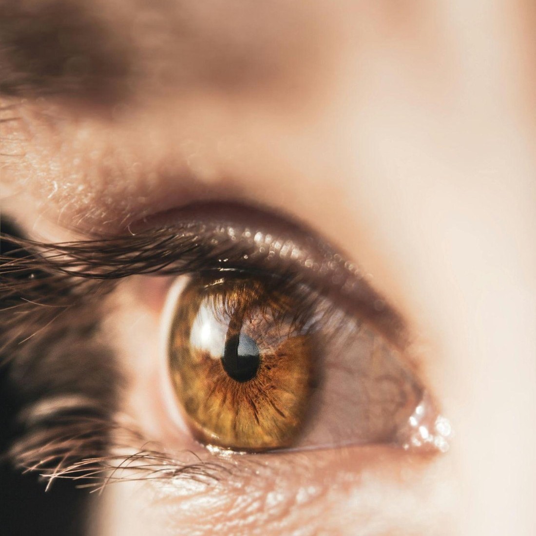 Isabel Trier - Treinadora e Estrategista